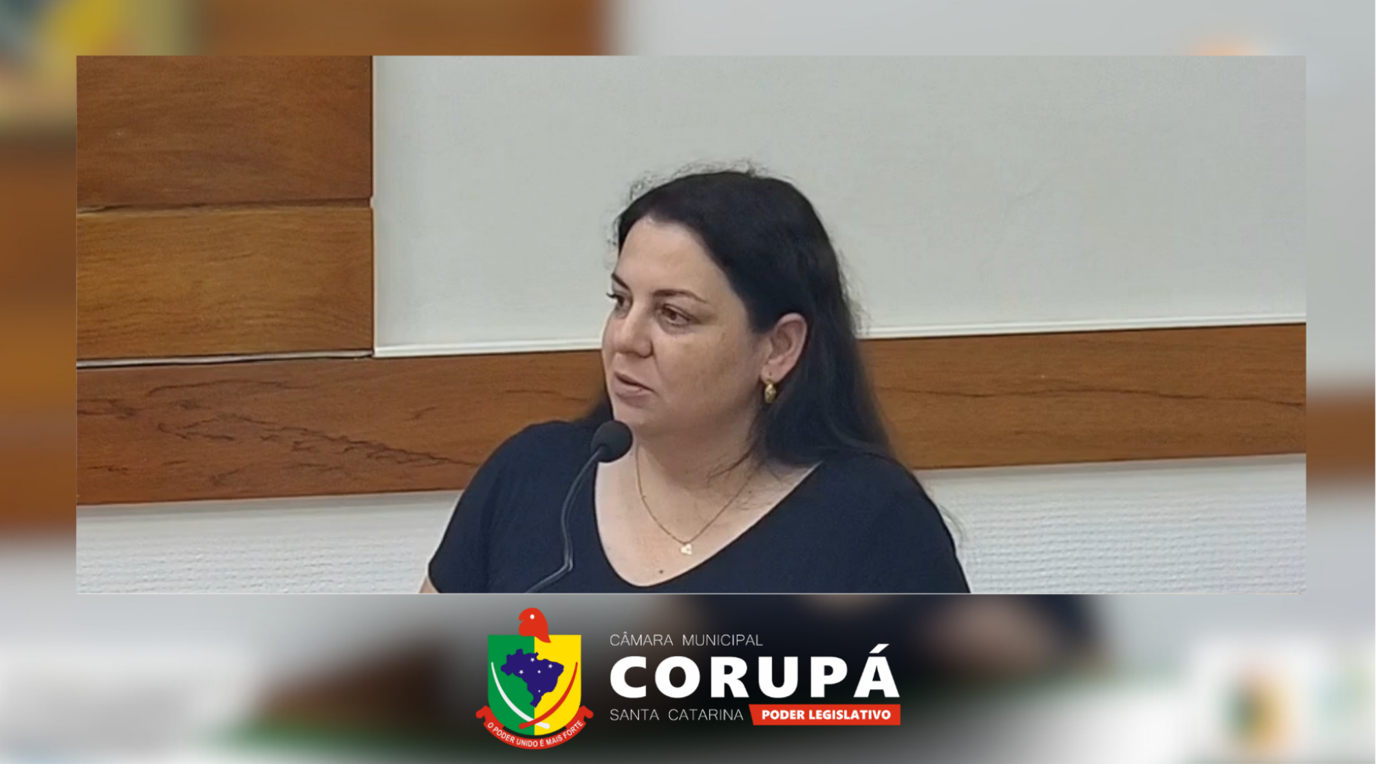 Secretaria de Turismo apresenta na Câmara fundamentos técnicos sobre possível atualização do brasão de Corupá