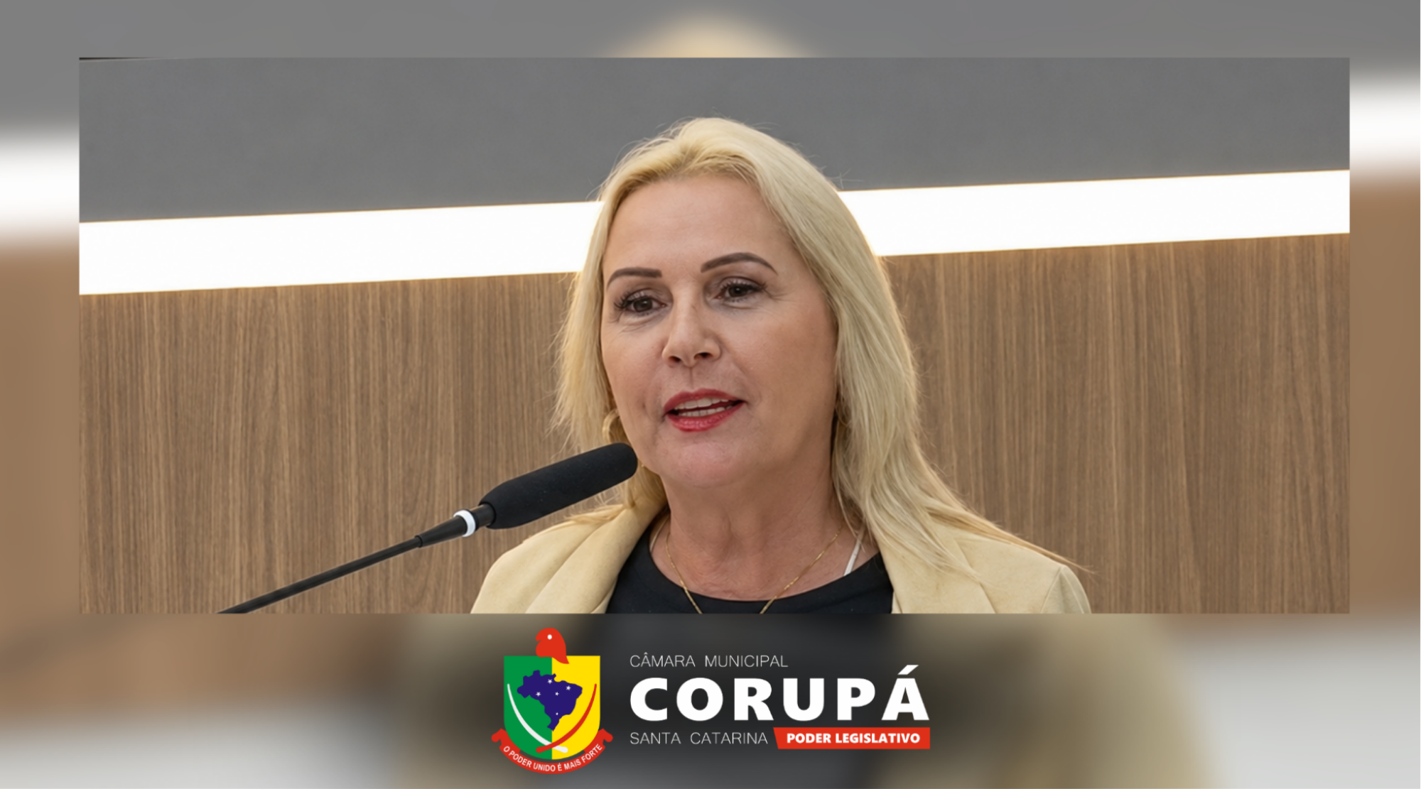 Presidente do SINSEP aborda valorização dos servidores públicos durante participação na Tribuna na 17ª Sessão Ordinária