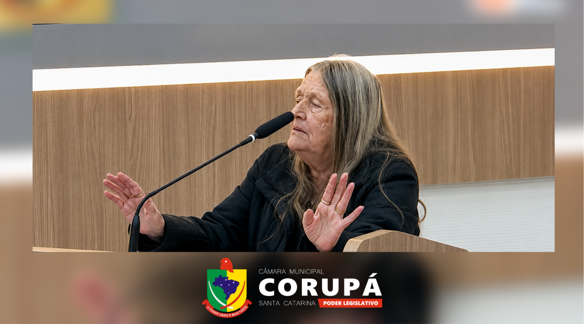 Agente comunitária utiliza tribuna livre para defender valorização dos servidores públicos municipais